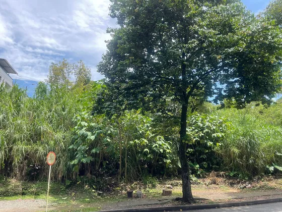 Lote En Venta En Sector Belmonte/pereira (279058446).