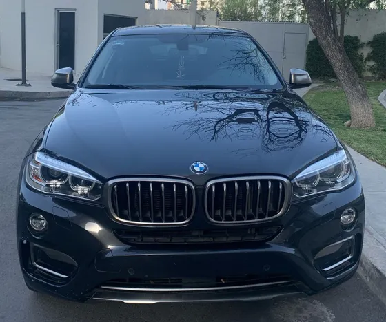 Bmw X6 3.0 Xdrive 35ia Extravagance At