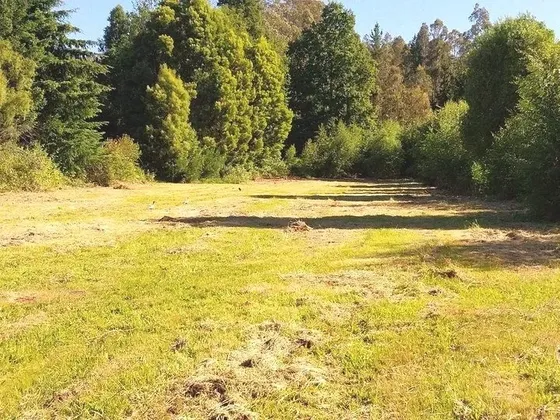 Impresionante Propiedad, Sólo 4 Km Antes De Villarrica