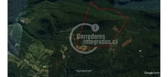 Campo Bosque Nativo, Apto Conservacion, Inmediato A Puyehue