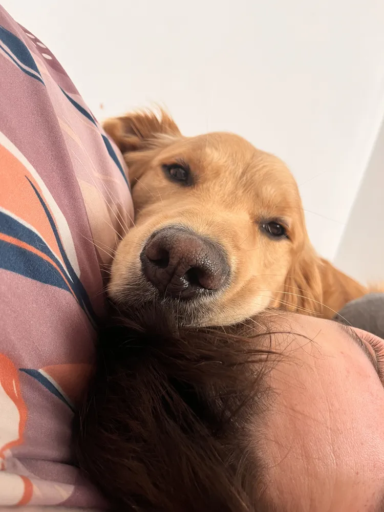 Foto del producto compartida por el comprador 6 de 8