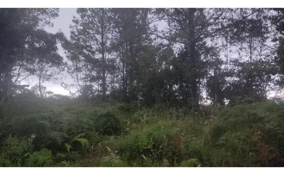 Lote En Vender En Guarne