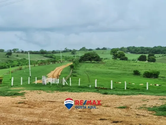 Se Vende Finca Totalmente Operativa Y Productiva, Cercana Al Parque Nacional Morrocoy
