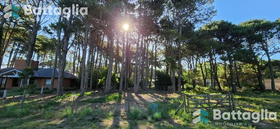 Terreno  De 1000 M2 (20x50) En El Pinar De La Lucila Del Mar