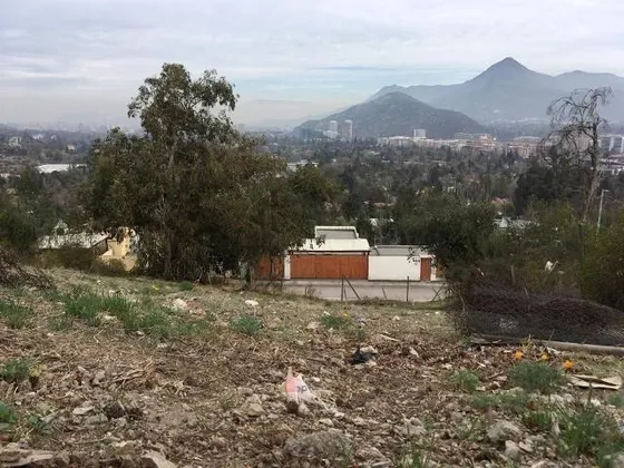 Quinchamalí/único/ Gran Vista/