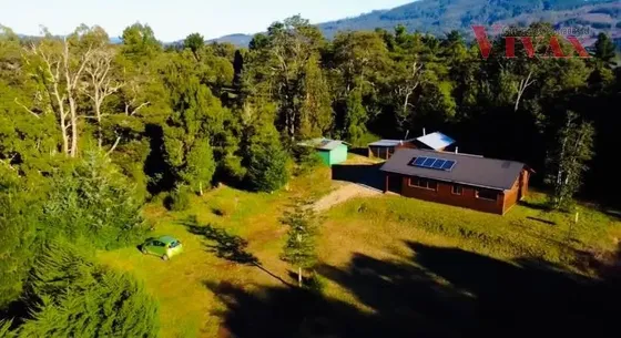 Casa Y Cabaña, Terreno De 5.000 M2, Bajo Tasación, Los Lagos