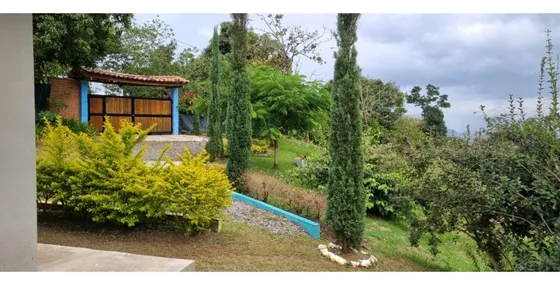 Vendo Finca En Fredonia Antioquia