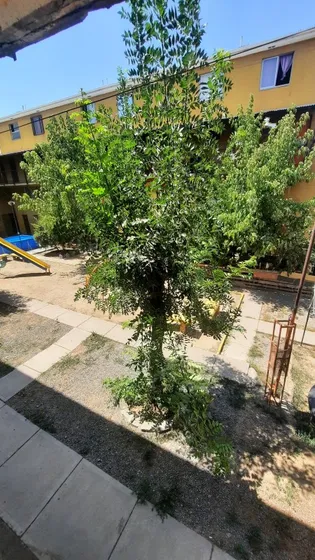 Imperdible  Se Vende  Departamento  Duplex 3 D1b En Macul 