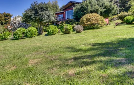 Dos Casas Con Espectacular Terreno En Lago Calafquen