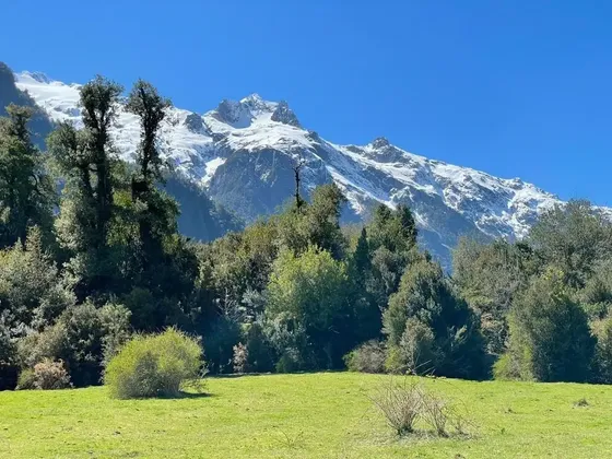 Parcela En Venta En Hornopirén