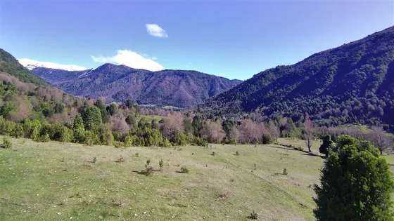Campo 57 Hectáreas Con Río En Curacautín Sector Manchuria