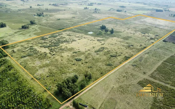 Venta Campo 43 Hectáreas En Ruta 8