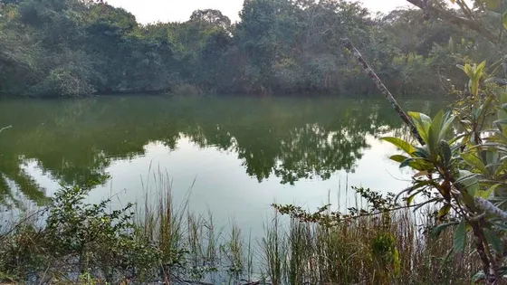 Venta Terreno 5000 M2 Frente Al Estero De Juana Moza Tuxpan Veracruz