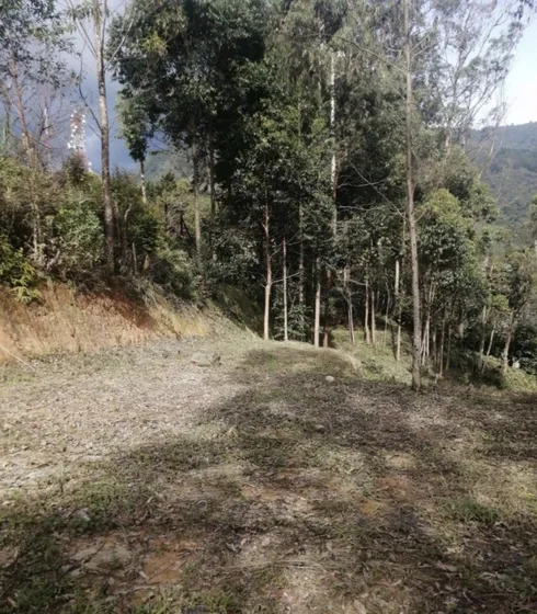 Lote En Venta En Altos Del Poblado. Cod V12464