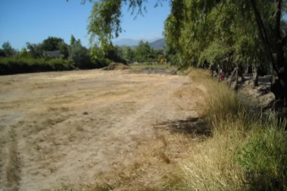 Sitio En Venta En Machalí
