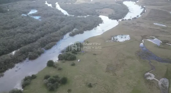 Venta Campo En Rivera Ruta 27 Cerros De La Calera 112 Hás