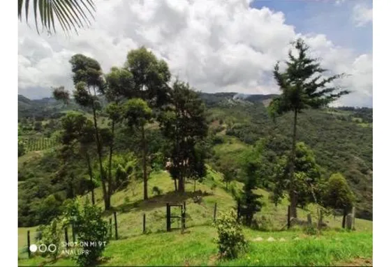 Finca Independiente El Retiro Vereda Nazareth
