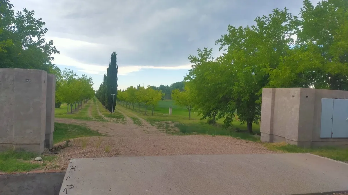 Plot for Sale, 2100 m², Rama Caída, San Rafael