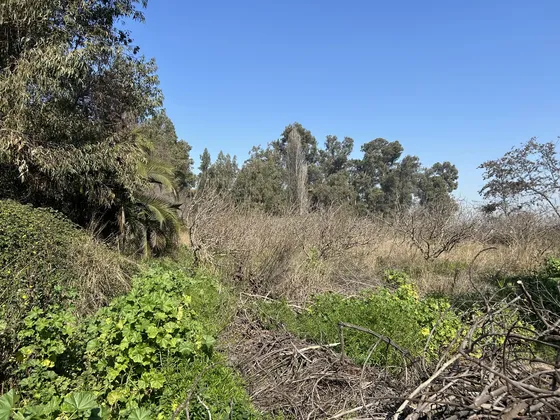 Excelente Sitio Urbano En Peñaflor