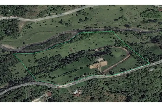 Oportunidad De Inversion, Finca En Venta, Salento Quindio