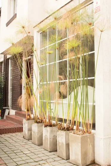 Casa En Venta Pedro De Valdivia Norte