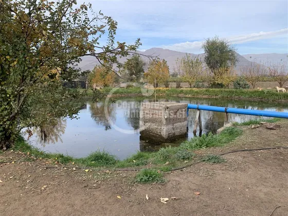 Agrícola En Venta En Tiltil