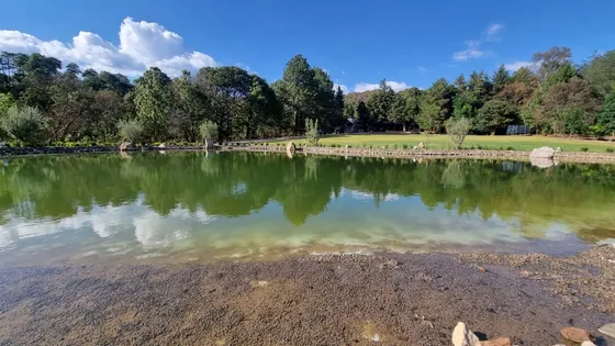 Magnifico Rancho En Venta.
