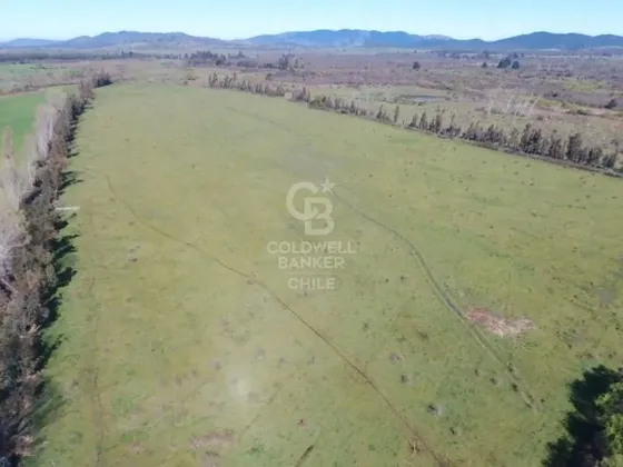 Fundo Agrícola En San Carlos