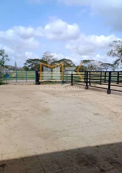 En Venta Finca Productiva En Yaracal, Falcón: Oportunidad Única
