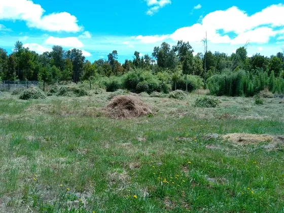 Parcela De 6.900 M2 En Fresia Con Electricidad Y Agua