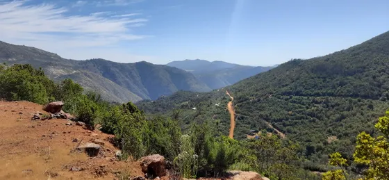 Venta Terrenos Lliu Lliu 5000m2 C/u $8.000.000  C/u