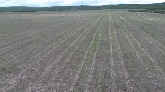3.068 Has Mixtas - San Pedro Norte, Tulumba