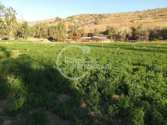 Parcela En Venta En Combarbalá