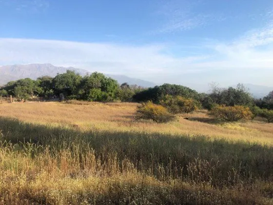 Sitio En Venta En Vitacura