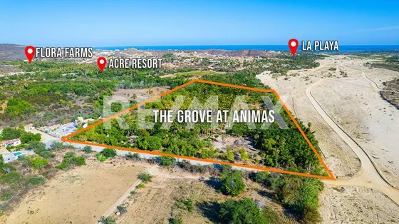 The Crown Jewel At Las Animas, San Jose Del Cabo, Mls #23-131