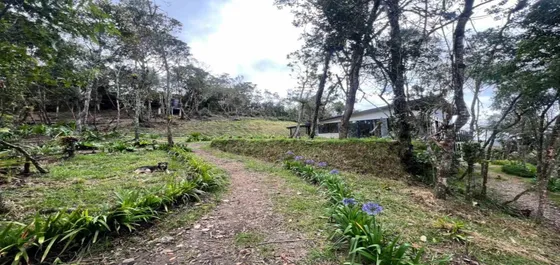  Finca En Venta Ubicada En Medellín Sector Piedras Blancas (27573).