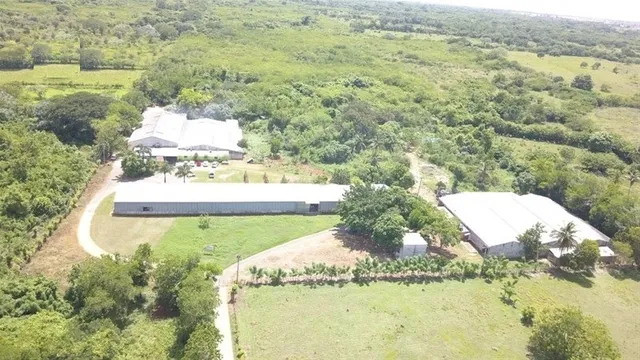 En Venta 6 Naves Industriales En La Carretera Mella Km22 Con 6500m2 De Nave Y Solar 81mil Metros 