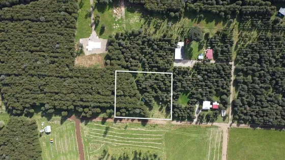 Terreno Plano Con Bosque Nativo - Aysén (172857)