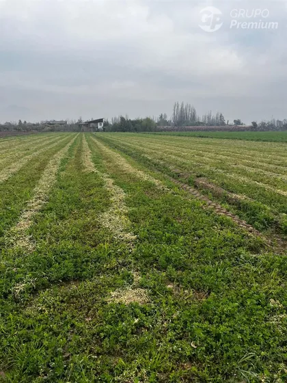 Agrícola En Venta En Santa María, Suelo Modificable