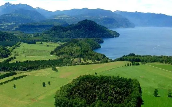 Agrícola En Venta En Cunco