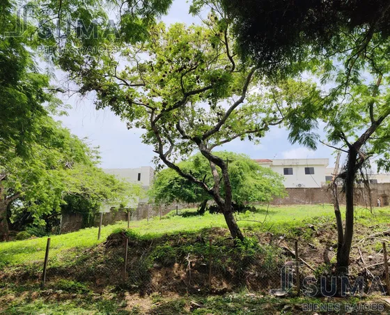 Terreno En Venta En Col. Lomas De Rosales, Tampico Tamaulipas.