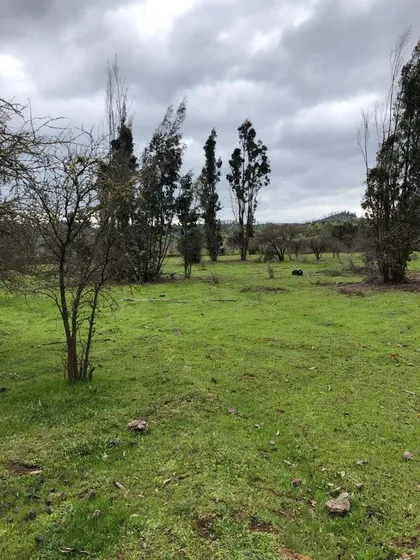 Parcela 6ta Región. Comuna Peralillo,  Predio Ranquilhue