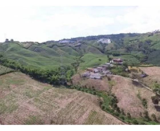 Venta De Lote En Manizales 