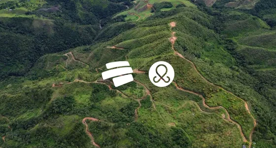 Finca Productora De Aguacate Hass En La Unión, Antioquia 