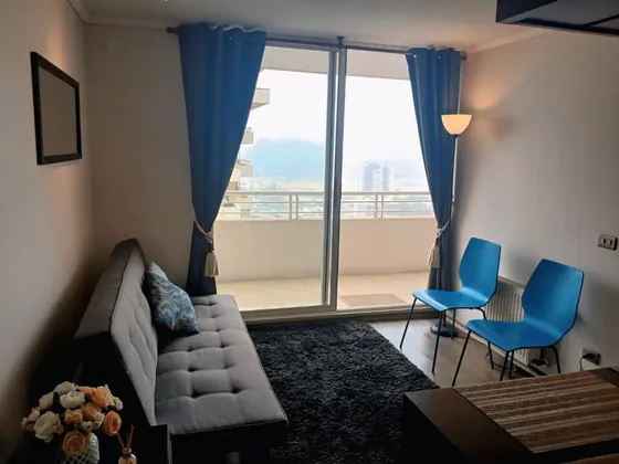 Se Vende Depto 1 Dormitorio Viana Viña Del Mar