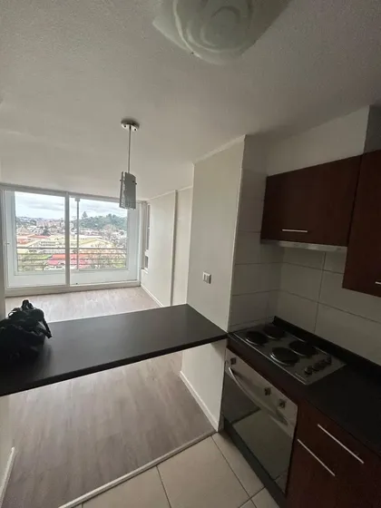 Arriendo Buen Depto En Concepción A Pasos Universidades
