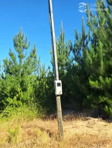 Terreno Construccion En Venta En Hualañe
