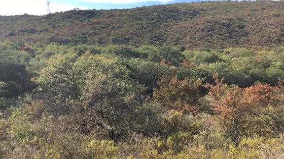 Campo  En Venta En Yacanto