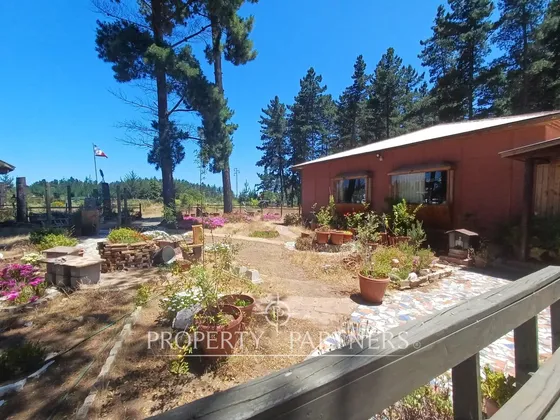 Algarrobo, Bosque De Algarrobo Parcela 100% Plana