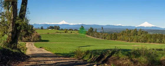 Hermosa Parcela En Venta En Puyehue